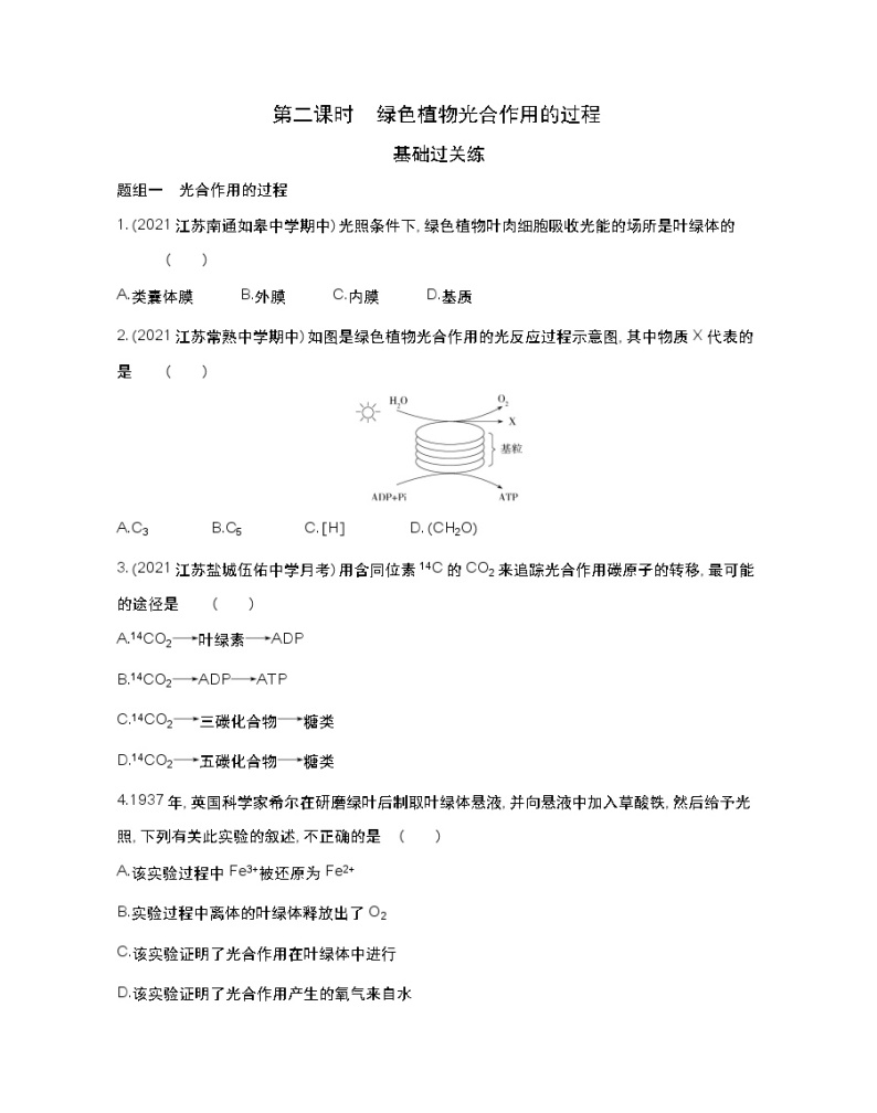 第二课时　绿色植物光合作用的过程-2022版生物必修第一册 苏教版（2019） 同步练习 （Word含解析）01