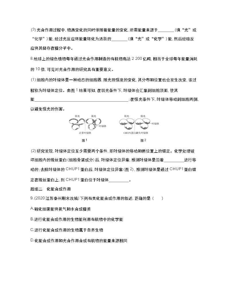 第二课时　绿色植物光合作用的过程-2022版生物必修第一册 苏教版（2019） 同步练习 （Word含解析）03