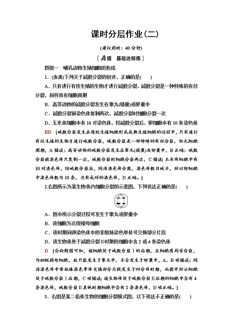 课时作业2 哺乳动物生殖细胞的形成、受精作用孕育新的生命【新教材】苏教版(2019)高中生物必修二第1页