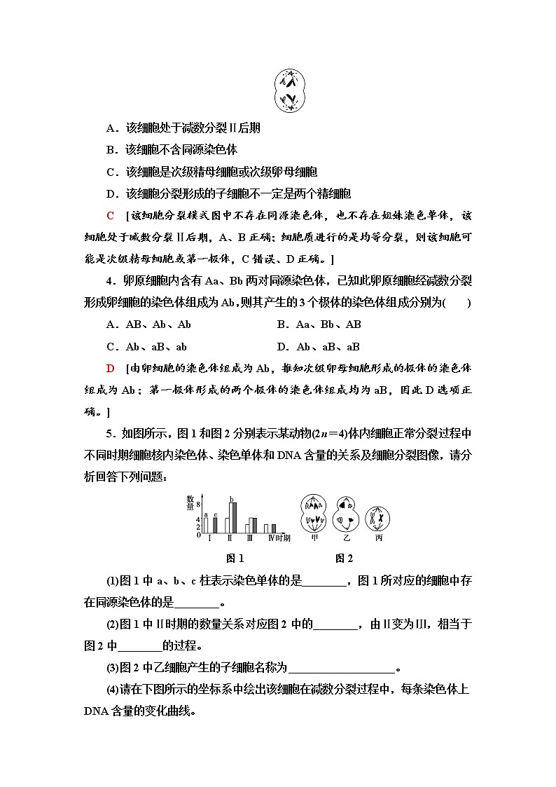 课时作业2 哺乳动物生殖细胞的形成、受精作用孕育新的生命【新教材】苏教版(2019)高中生物必修二第2页