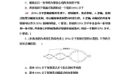 高中生物苏教版 (2019)必修2《遗传与进化》DNA分子通过半保留方式进行复制一课一练