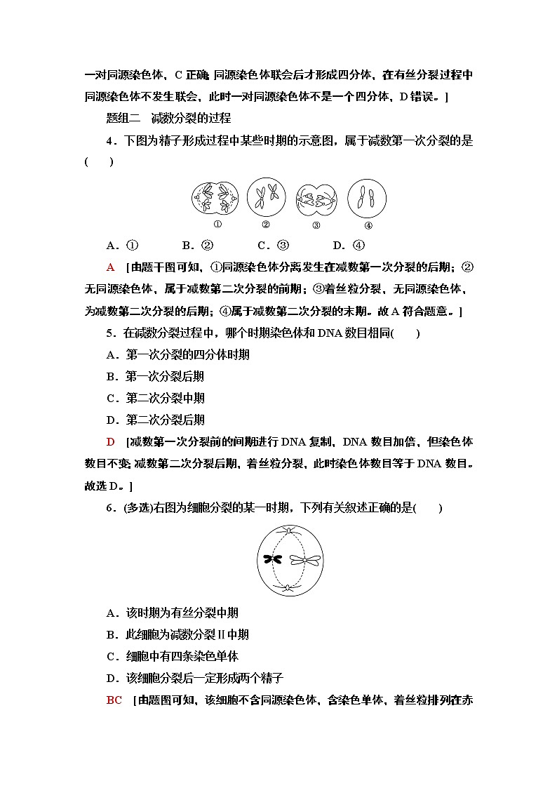 课时作业1 减数分裂产生精子或卵细胞【新教材】苏教版(2019)高中生物必修二第2页