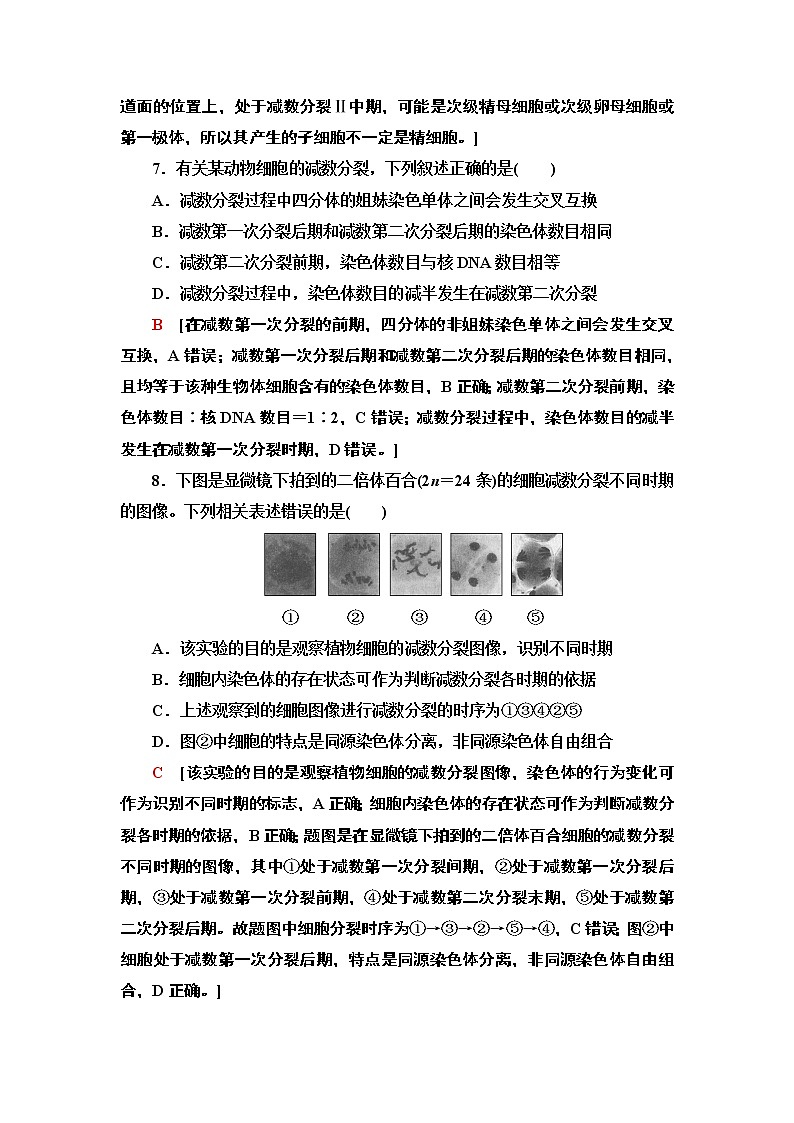 课时作业1 减数分裂产生精子或卵细胞【新教材】苏教版(2019)高中生物必修二第3页