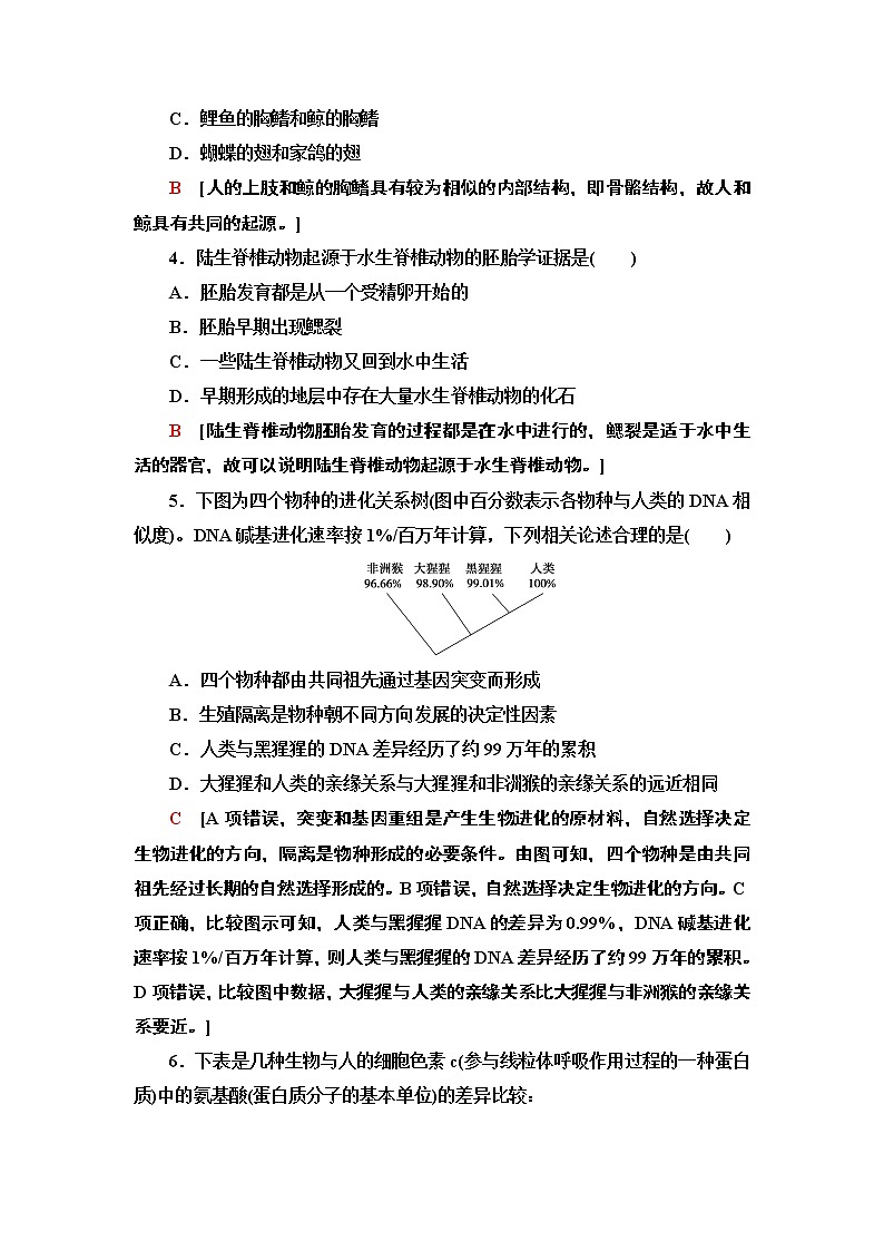课时作业19 生物的多样性和适应性是进化的结果【新教材】苏教版(2019)高中生物必修二 练习02