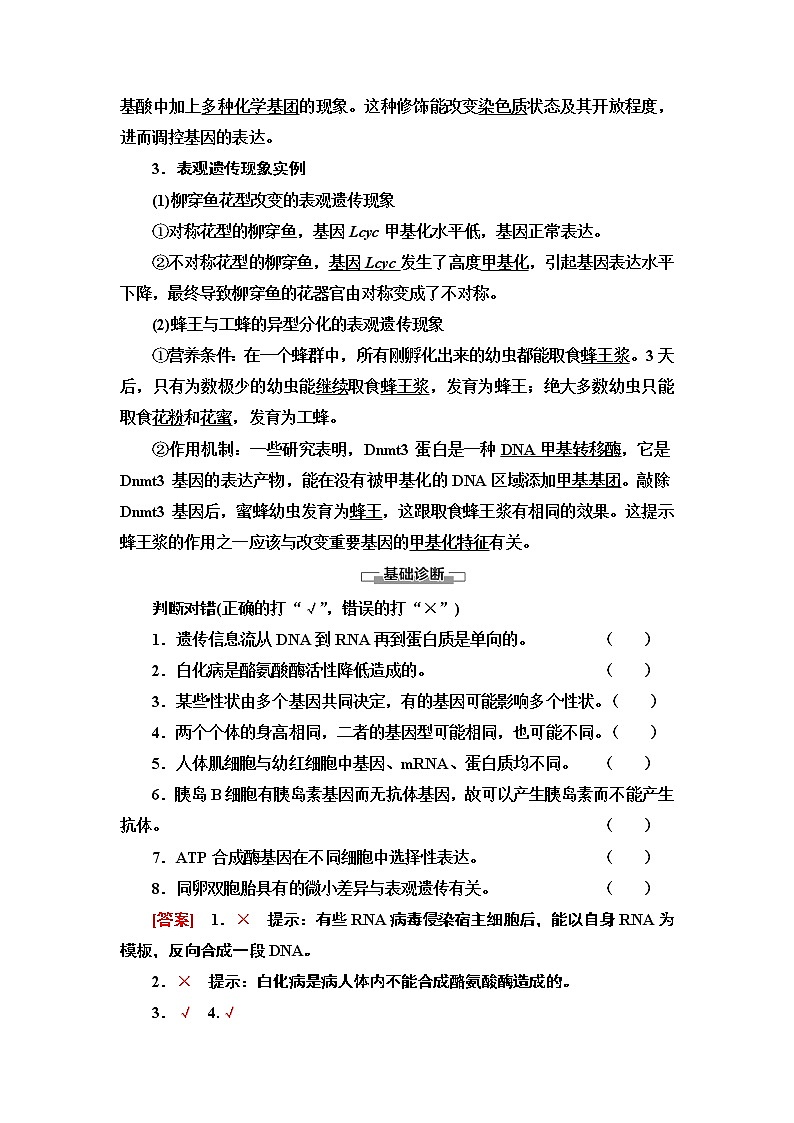 第2章 第3节 第2课时 中心法则、细胞分化及表观遗传 讲义 【新教材】苏教版(2019)高中生物必修二教案第3页