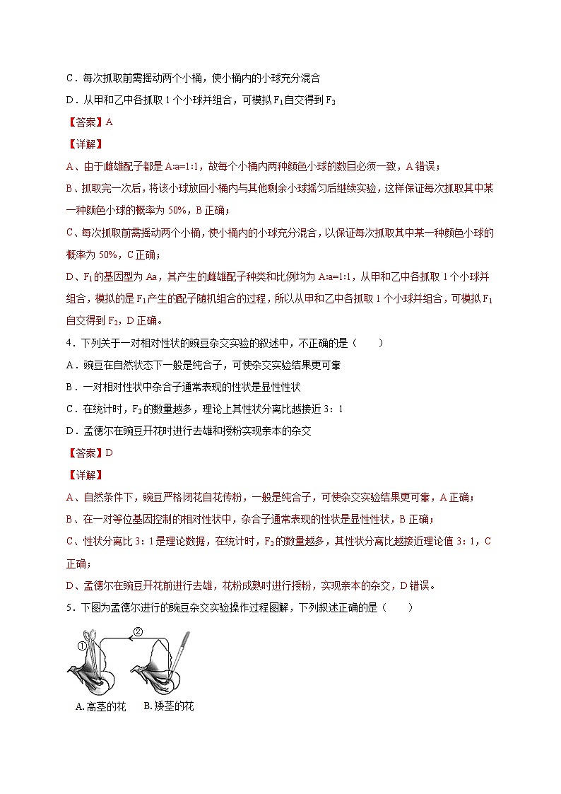 1.2.1 分离定律-2020-2021学年高一生物同步备课系列(新苏教版(2020)必修2)练习题02