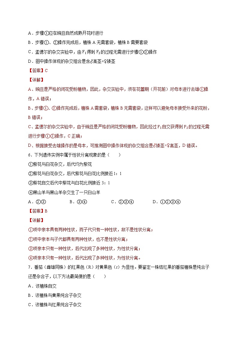 1.2.1 分离定律-2020-2021学年高一生物同步备课系列(新苏教版(2020)必修2)练习题03