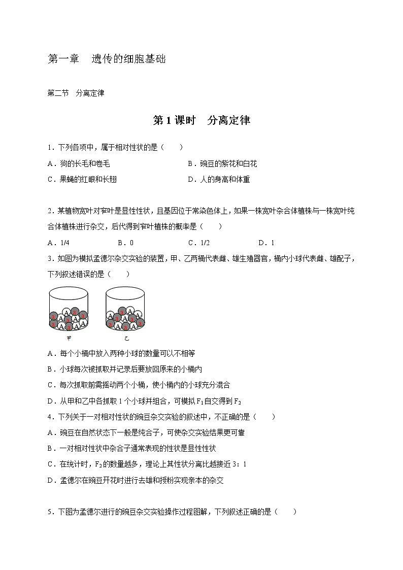 1.2.1 分离定律-2020-2021学年高一生物同步备课系列(新苏教版(2020)必修2)练习题01