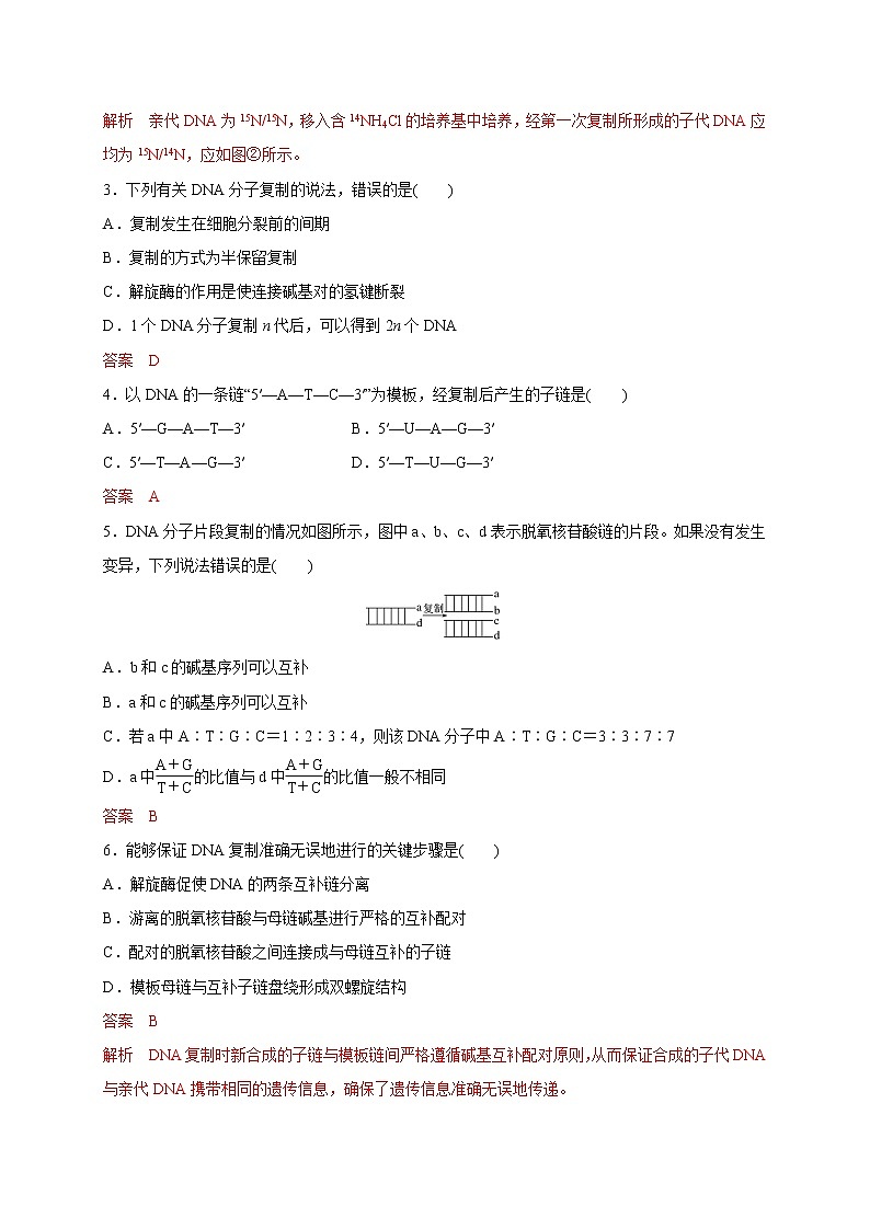 2.2.2 DNA分子的复制-2020-2021学年高一生物同步备课系列(新苏教版(2020)必修2)练习题02