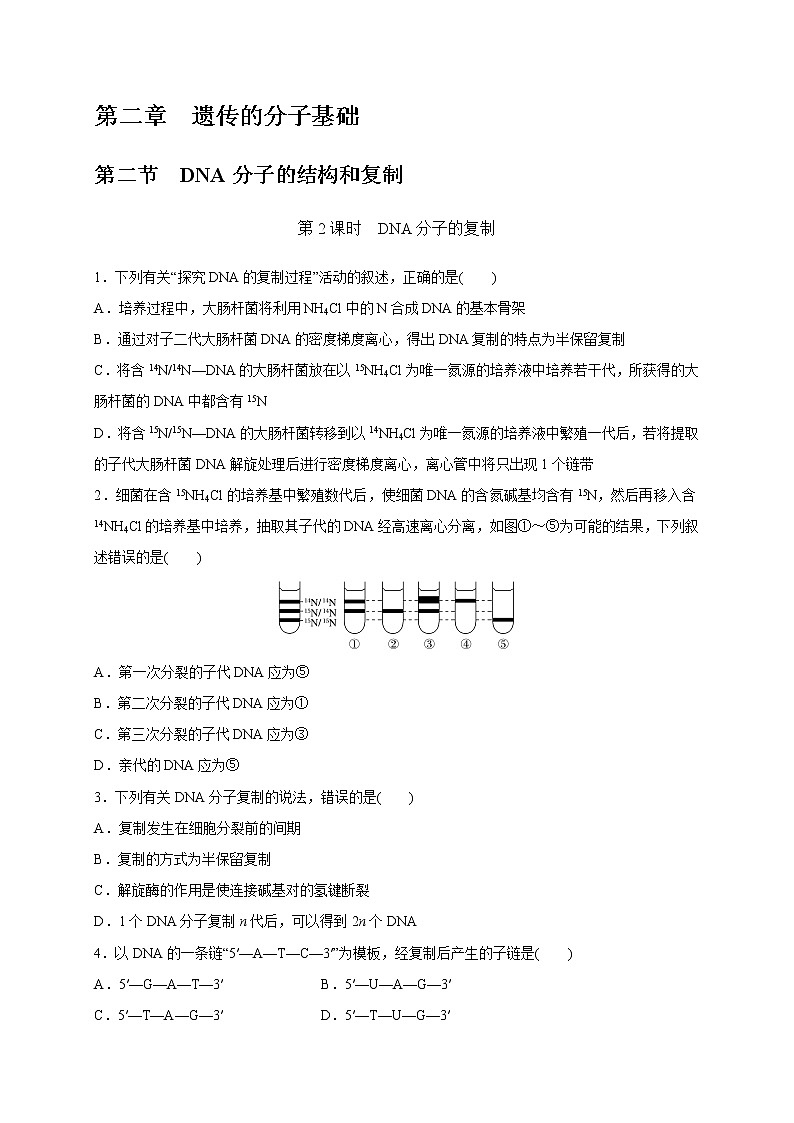 2.2.2 DNA分子的复制-2020-2021学年高一生物同步备课系列(新苏教版(2020)必修2)练习题01