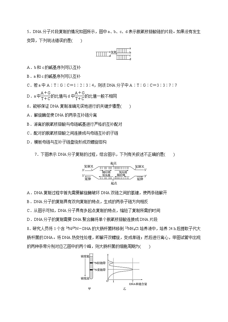 2.2.2 DNA分子的复制-2020-2021学年高一生物同步备课系列(新苏教版(2020)必修2)练习题02