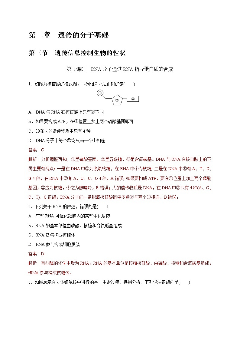 2.3.1 DNA分子通过RNA指导蛋白质的合成-2020-2021学年高一生物同步备课系列(新苏教版(2020)必修2)练习题01