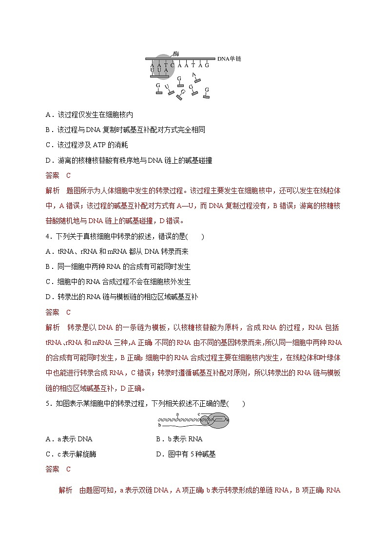 2.3.1 DNA分子通过RNA指导蛋白质的合成-2020-2021学年高一生物同步备课系列(新苏教版(2020)必修2)练习题02