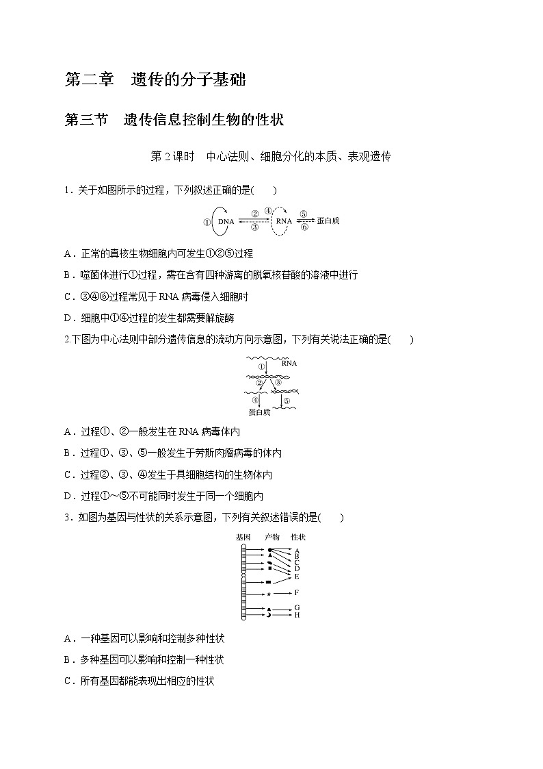 2.3.2 中心法则、细胞分化的本质、表观遗传(备作业)-【上好课】2020-2021学年高一生物同步备课系列(新苏教版(2020)必修2)(原卷版)第1页