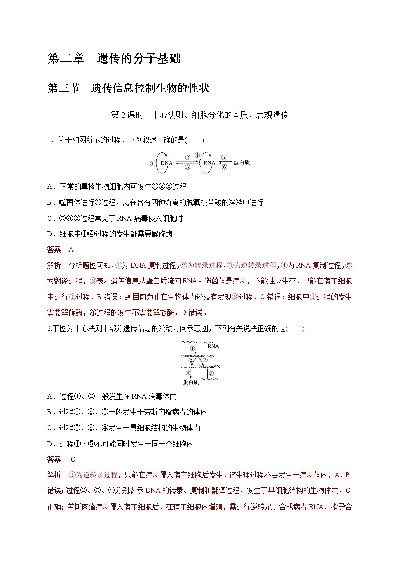 2.3.2 中心法则、细胞分化的本质、表观遗传(备作业)-【上好课】2020-2021学年高一生物同步备课系列(新苏教版(2020)必修2)(解析版)第1页