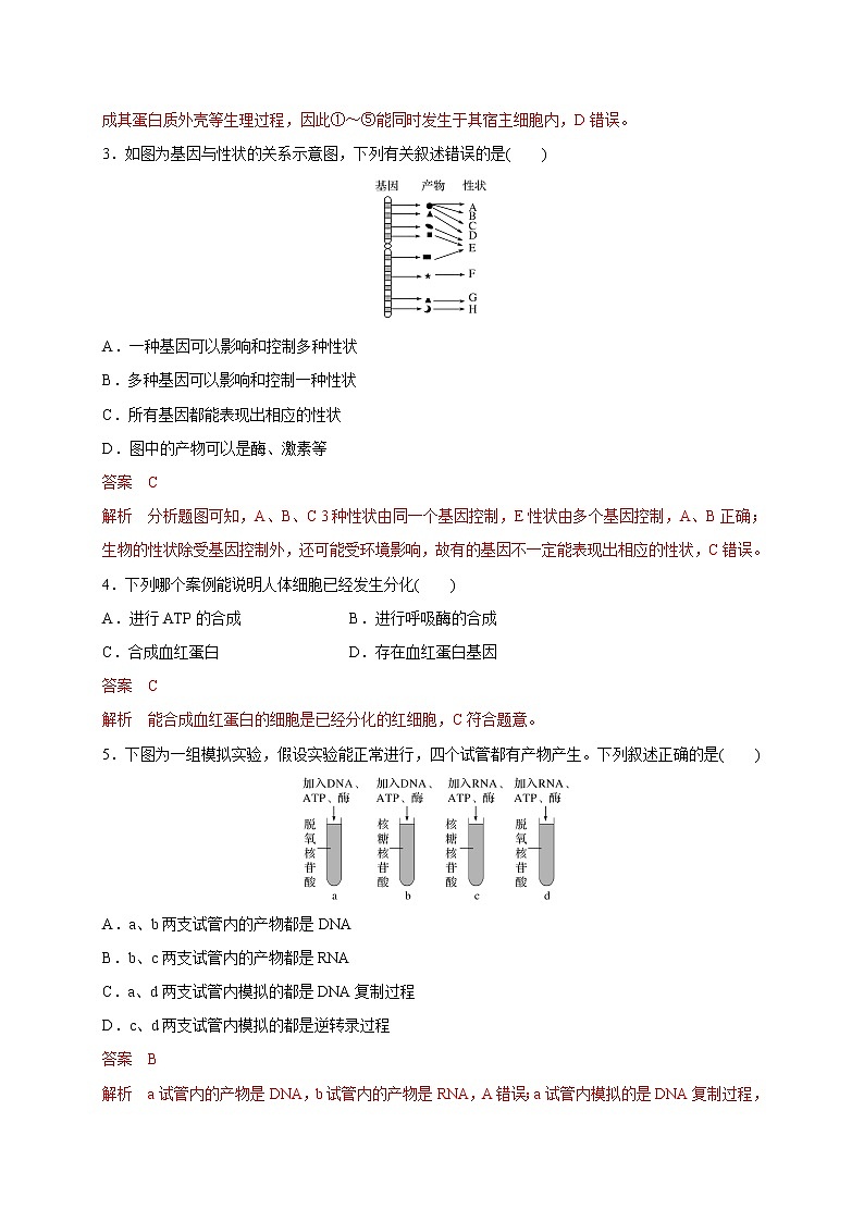 2.3.2 中心法则、细胞分化的本质、表观遗传(备作业)-【上好课】2020-2021学年高一生物同步备课系列(新苏教版(2020)必修2)(解析版)第2页