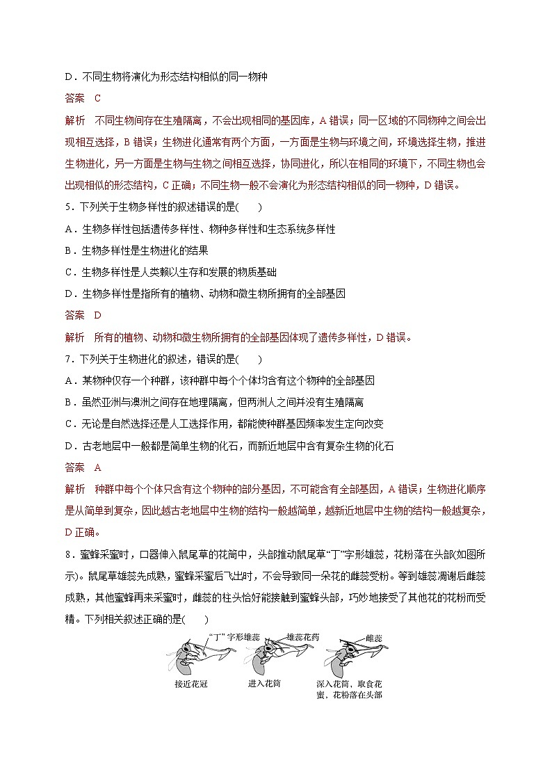 4.2 生物的多样性和适应性是进化的结果-2020-2021学年高一生物同步备课系列(新苏教版(2020)必修2)练习题02