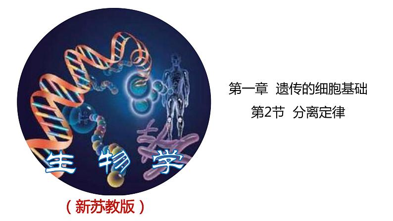 1.2.2 分离定律的应用-2020-2021学年高一生物同步备课系列(新苏教版(2020)必修2)课件PPT第1页
