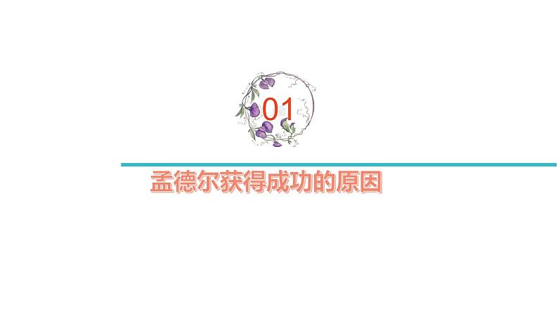 1.2.2 分离定律的应用-2020-2021学年高一生物同步备课系列(新苏教版(2020)必修2)课件PPT第2页