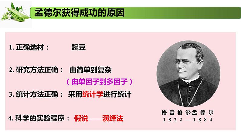 1.2.2 分离定律的应用-2020-2021学年高一生物同步备课系列(新苏教版(2020)必修2)课件PPT第3页