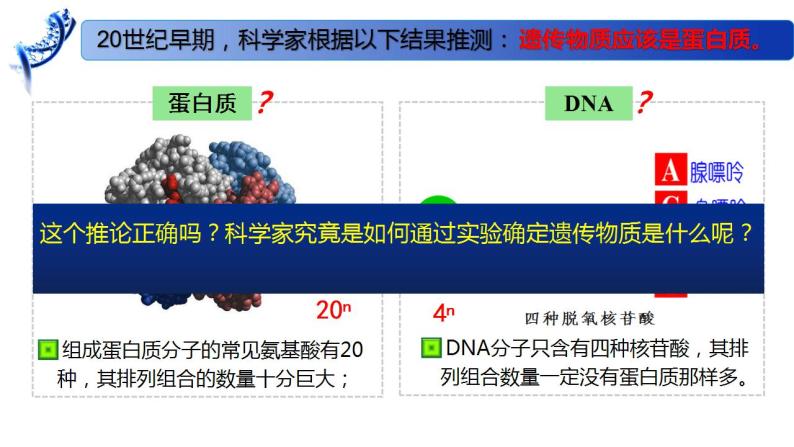 2.1 DNA是主要的遗传物质-2020-2021学年高一生物同步备课系列（新苏教版（2020）必修2）课件PPT03