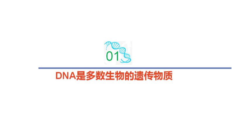 2.1 DNA是主要的遗传物质-2020-2021学年高一生物同步备课系列（新苏教版（2020）必修2）课件PPT04