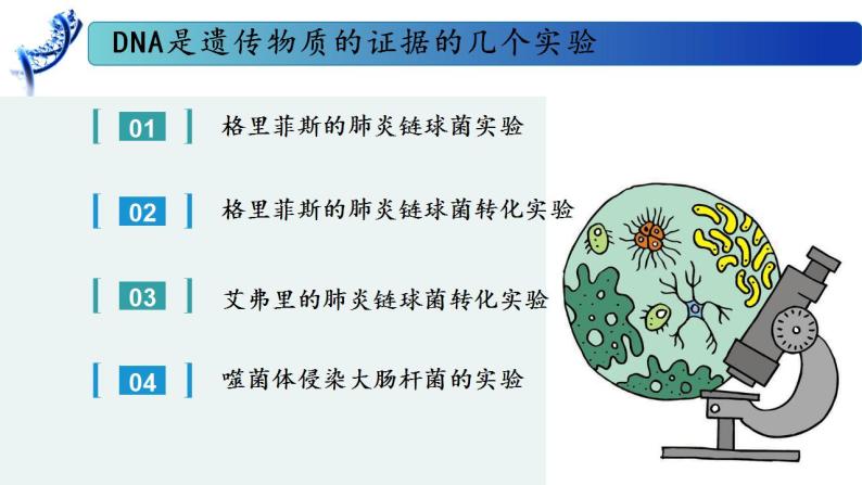 2.1 DNA是主要的遗传物质-2020-2021学年高一生物同步备课系列（新苏教版（2020）必修2）课件PPT08