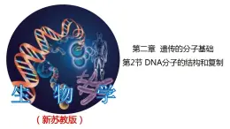 2.2.1 DNA分子的结构-2020-2021学年高一生物同步备课系列（新苏教版（2020）必修2）课件PPT