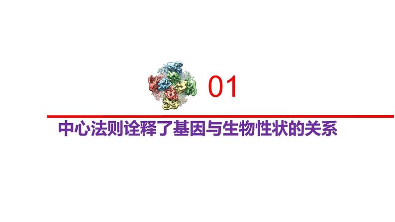 2.3.2 中心法则、细胞分化的本质、表观遗传-2020-2021学年高一生物同步备课系列(新苏教版(2020)必修2)课件PPT02