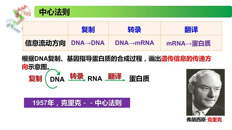 2.3.2 中心法则、细胞分化的本质、表观遗传-2020-2021学年高一生物同步备课系列(新苏教版(2020)必修2)课件PPT03
