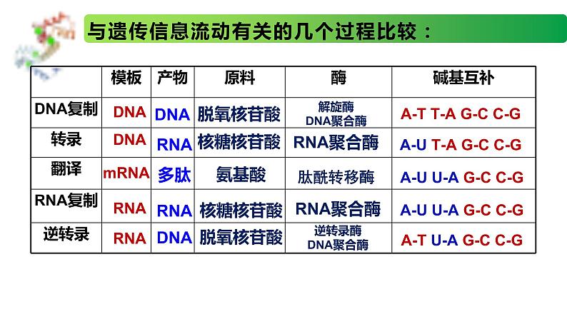 2.3.2 中心法则、细胞分化的本质、表观遗传-2020-2021学年高一生物同步备课系列(新苏教版(2020)必修2)课件PPT06