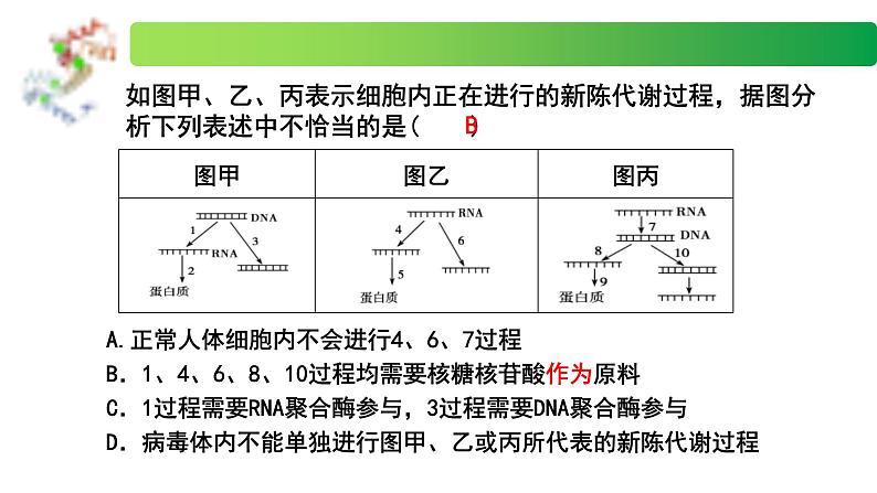 2.3.2 中心法则、细胞分化的本质、表观遗传-2020-2021学年高一生物同步备课系列(新苏教版(2020)必修2)课件PPT08