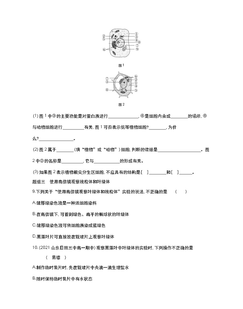 第二课时 结构与功能独特的细胞器-2022版生物必修第一册 苏教版(2019) 同步练习 (Word含解析)03