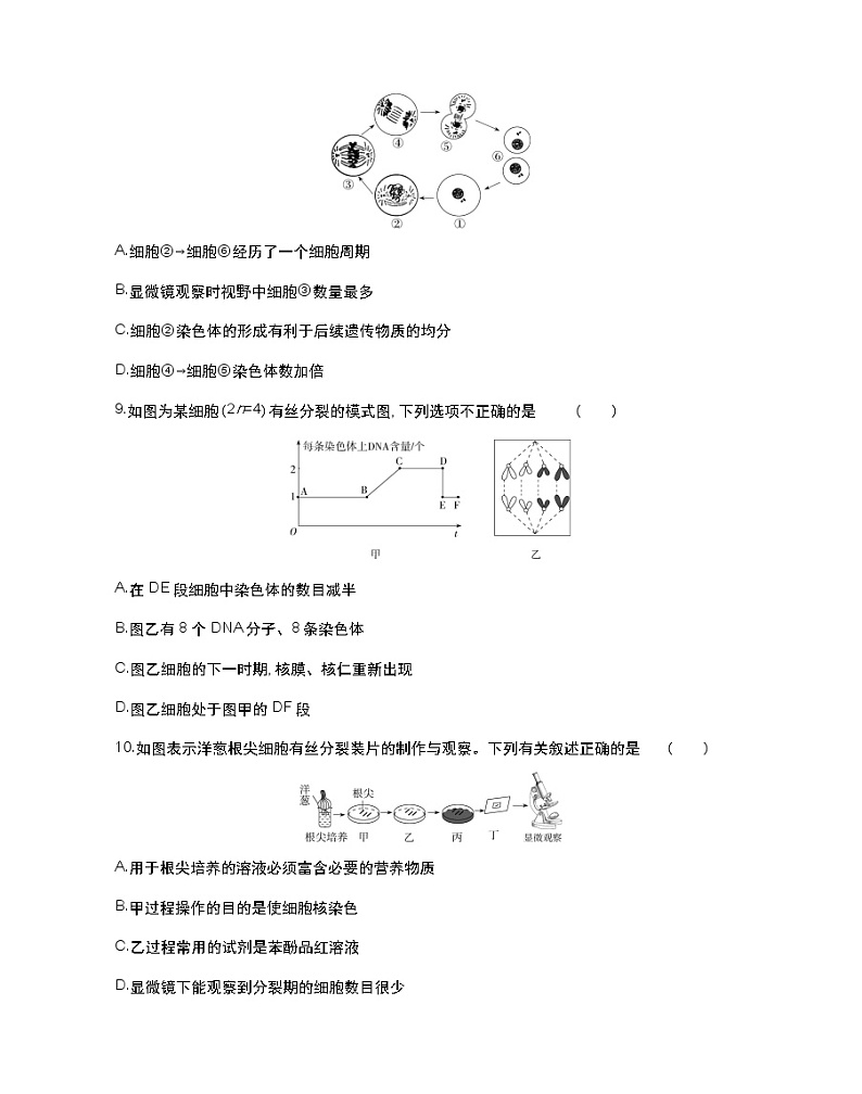 第四章达标检测-2022版生物必修第一册 苏教版(2019) 同步练习 (Word含解析)03