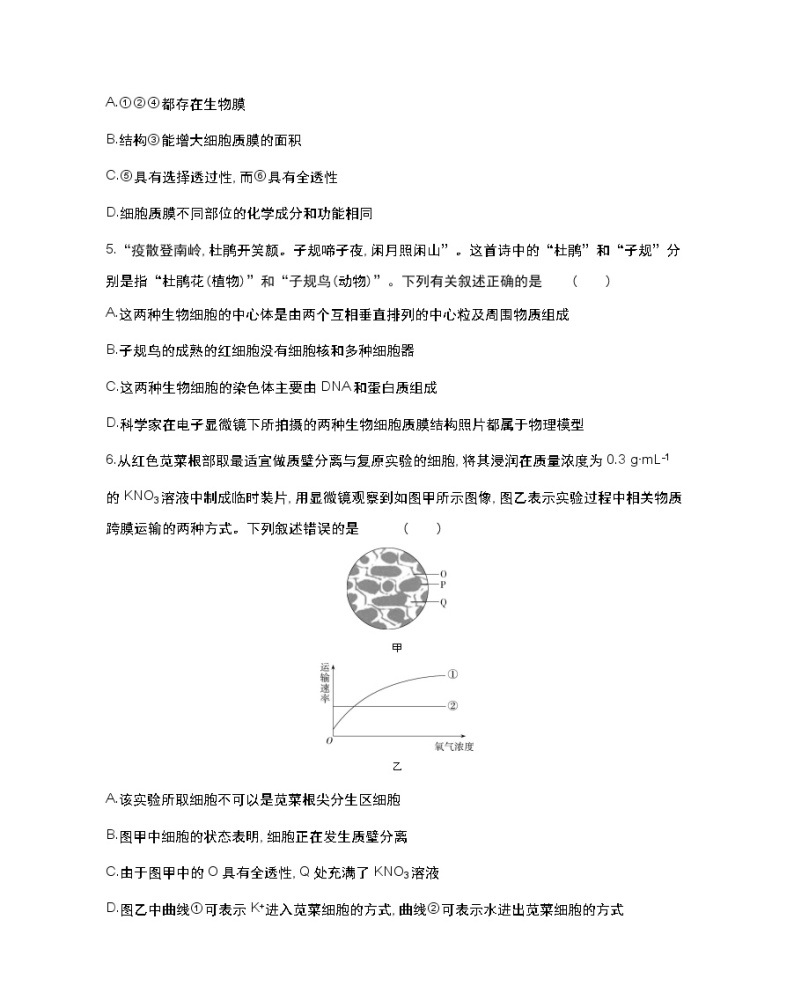 全书综合测评(一)-2022版生物必修第一册 苏教版（2019） 同步练习 （Word含解析）02