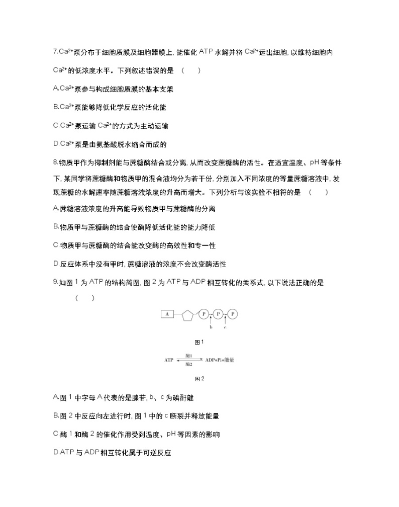 全书综合测评(一)-2022版生物必修第一册 苏教版（2019） 同步练习 （Word含解析）03