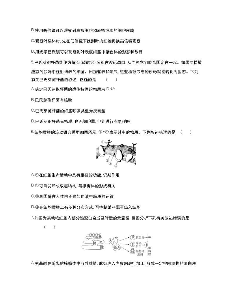 全书综合测评(二)-2022版生物必修第一册 苏教版（2019） 同步练习 （Word含解析）02