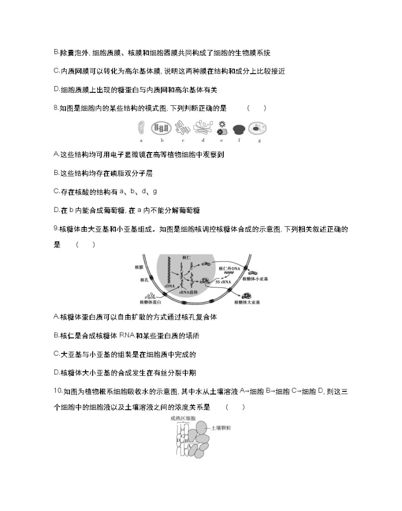 全书综合测评(二)-2022版生物必修第一册 苏教版（2019） 同步练习 （Word含解析）03