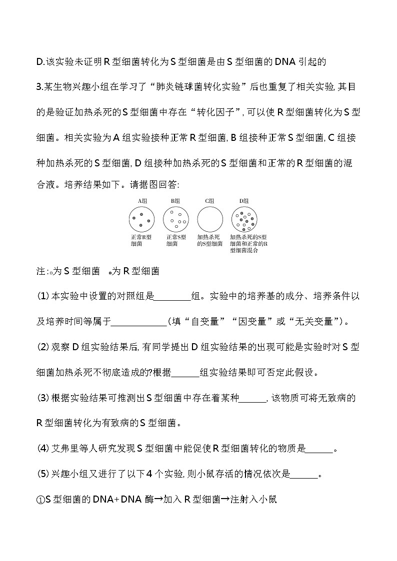 第1节 DNA是主要的遗传物质-2022版生物必修第二册 苏教版(2019) 同步练习 (Word含解析)02