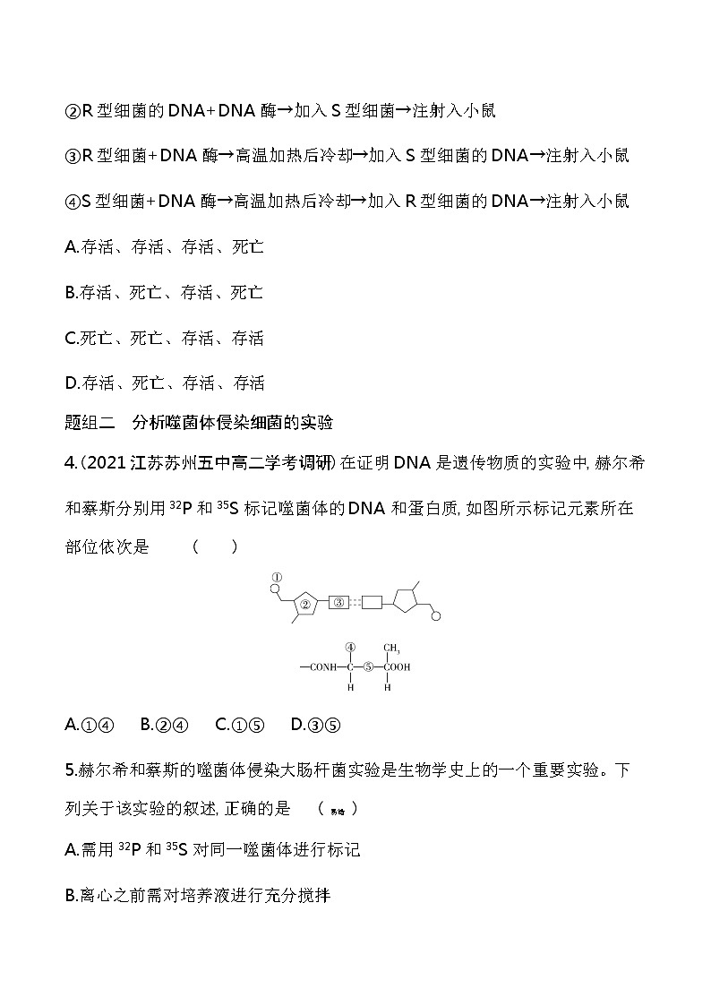 第1节 DNA是主要的遗传物质-2022版生物必修第二册 苏教版(2019) 同步练习 (Word含解析)03