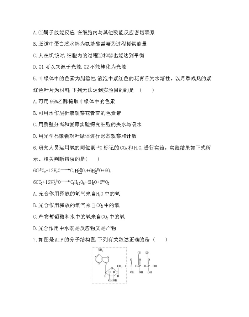 第三章达标检测-2022版生物必修第一册 浙科版（2019） 同步练习 （Word含解析）02