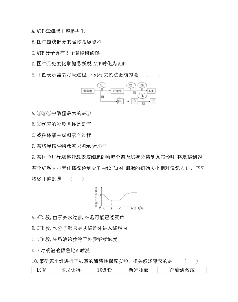 第三章达标检测-2022版生物必修第一册 浙科版（2019） 同步练习 （Word含解析）03