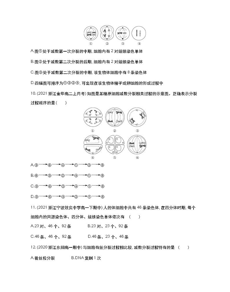 第1课时 减数分裂过程-2022版生物必修第二册 浙科版(2019) 同步练习 (Word含解析)03