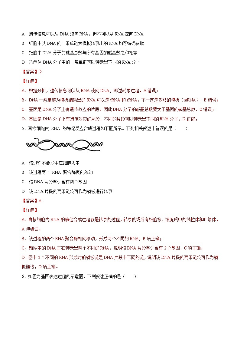 专题05 基因的表达(A卷)(解析版) 练习 高中生物新人教版必修2(2022年)第2页