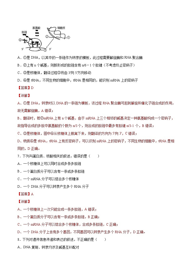 专题05 基因的表达(A卷)(解析版) 练习 高中生物新人教版必修2(2022年)第3页