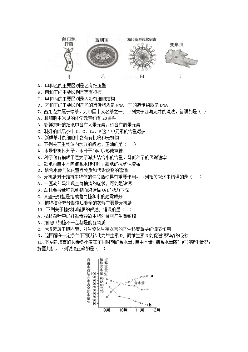 2021-2022学年辽宁省大连市第一中学高一上学期阶段性学情反馈生物试卷含答案第2页