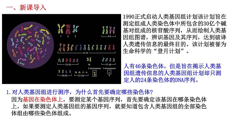 2.2 基因在染色体上(课件精讲)第2页