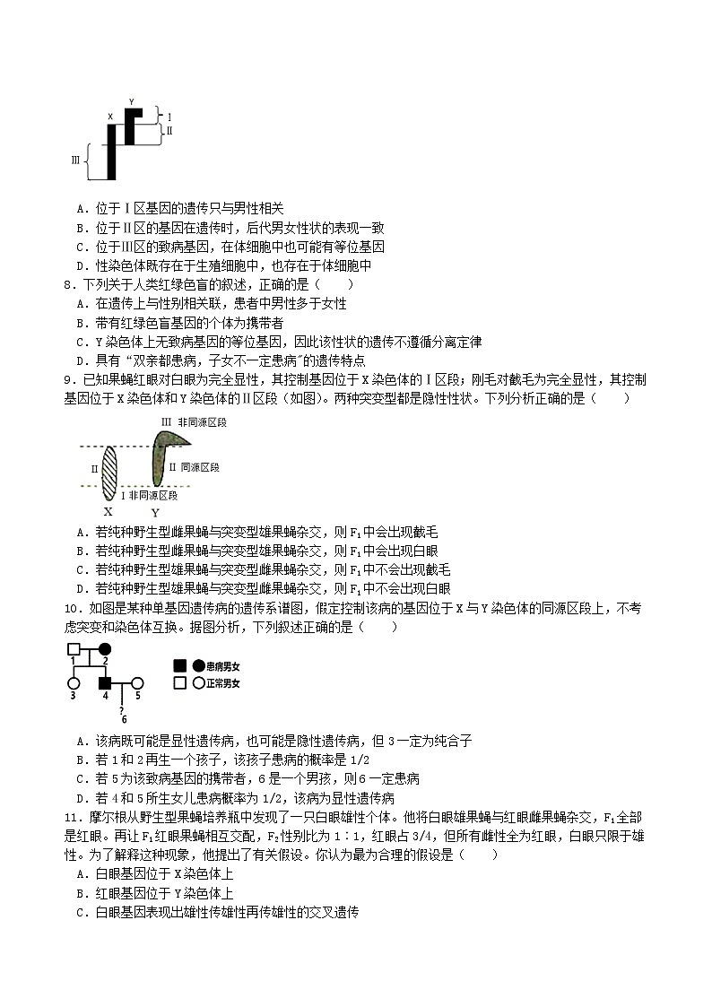 2.3 伴性遗传(习题精练)-2021-2022学年高一生物同步课件精讲+习题精练(人教版2019必修2)(原卷版)第2页