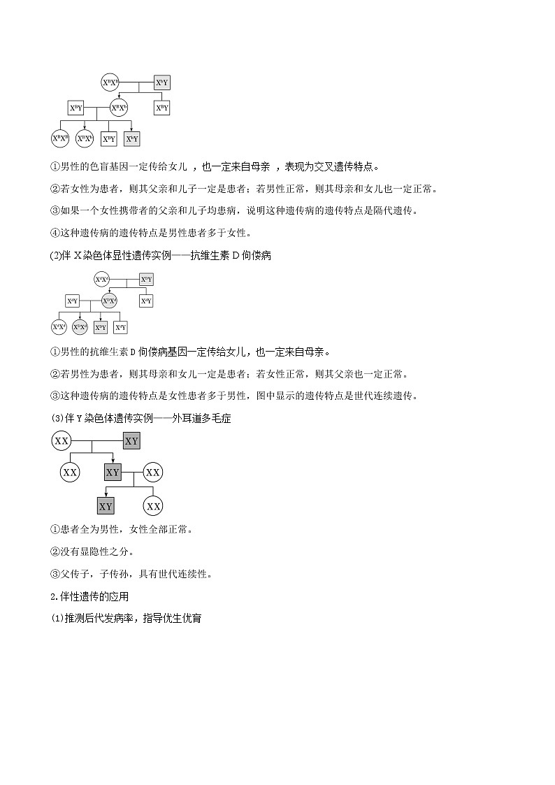 2.3 伴性遗传-2021-2022学年高一下学期生物同步考点精讲精练(人教版2019必修2)(原卷版)第2页