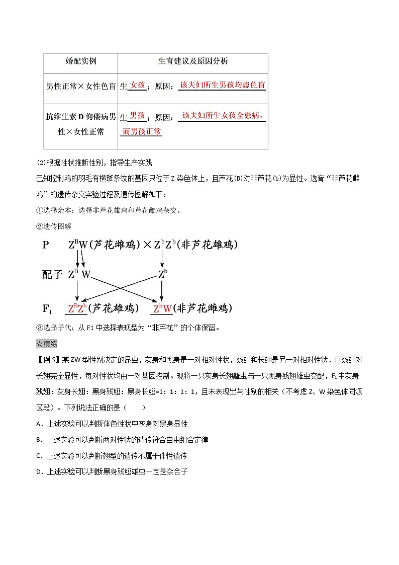 2.3 伴性遗传-2021-2022学年高一下学期生物同步考点精讲精练(人教版2019必修2)(原卷版)第3页